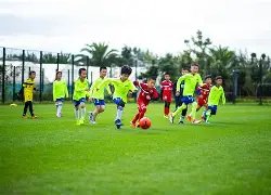 罗泽疑问,多特欧冠周,中战,九游娱乐官网,H5九游娱乐官网,九游娱乐官网在线娱乐平台